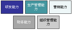 2015注冊會計師考試《戰(zhàn)略》文字課堂