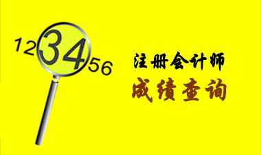 注冊會計師成績查詢
