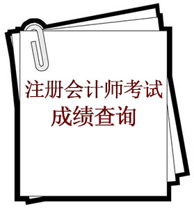 注冊會計師考試成績查詢